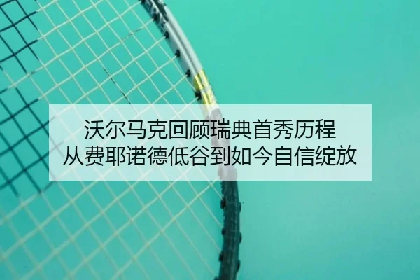 沃尔马克回顾瑞典首秀历程 从费耶诺德低谷到如今自信绽放